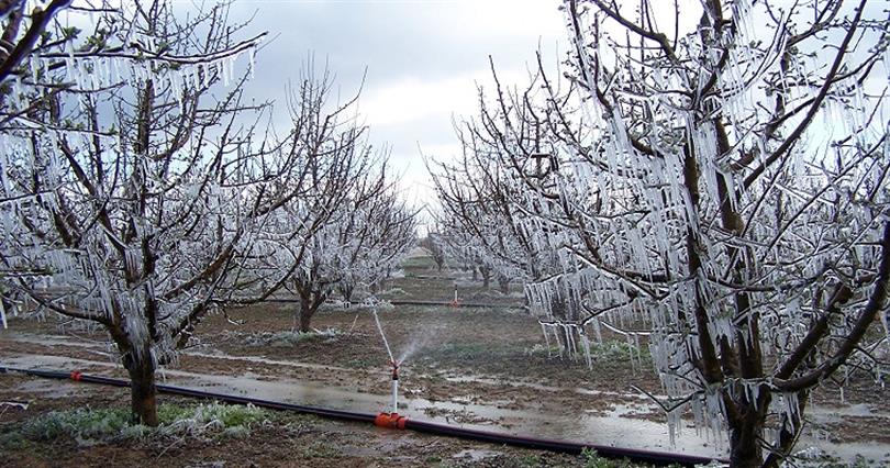 ولاية تركية تسجل درجات حرارة منخفضة جداً حيث تشكل الصقيع على الأشجار والمركبات