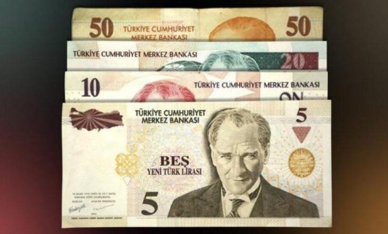  إذا كان لديك مثلها فستصبح ثرياً عملة تركية بيعت بـ 250 ألف تركي (صور)